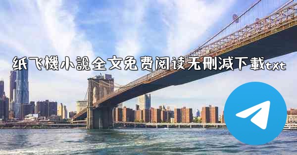 纸飞機小說全文免费阅读无刪減下載txt