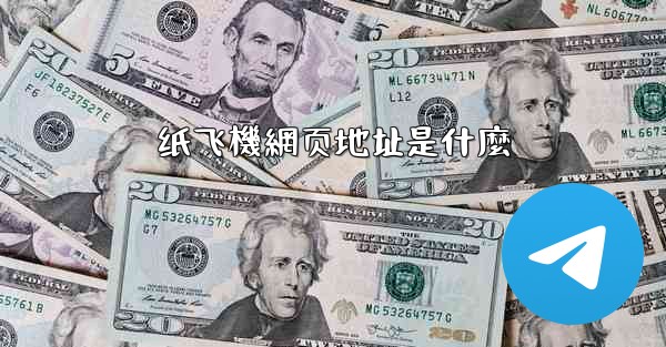 纸飞機網页地址是什麼