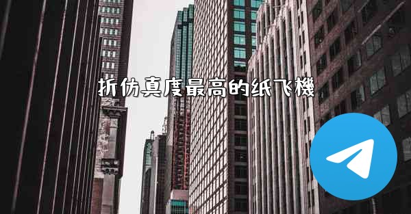 折仿真度最高的纸飞機