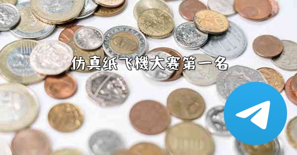 仿真纸飞機大赛第一名