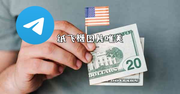 纸飞機图片唯美