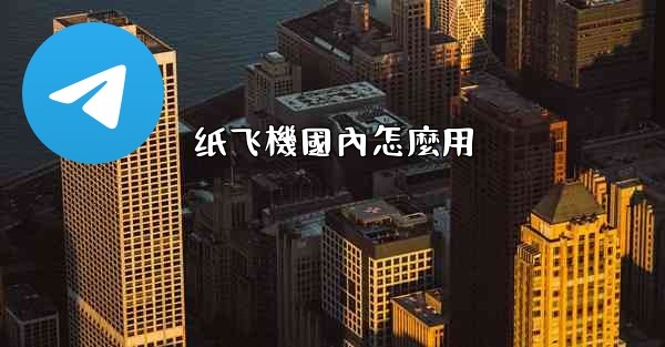 纸飞機國內怎麼用