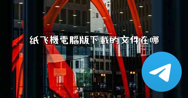 纸飞機電腦版下載的文件在哪