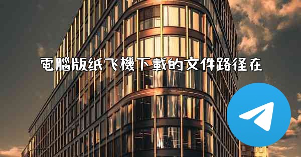 電腦版纸飞機下載的文件路径在