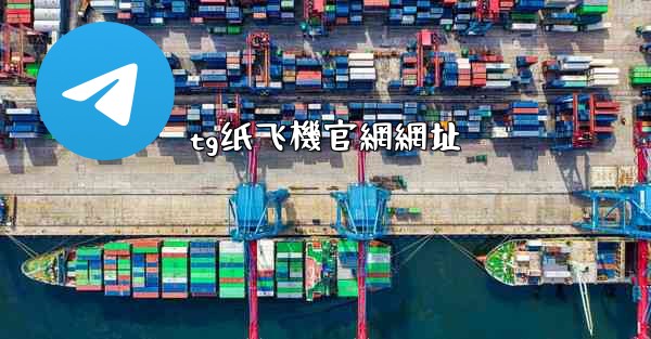 tg纸飞機官網網址