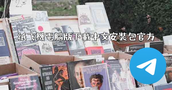 纸飞機電腦版下載中文安裝包官方