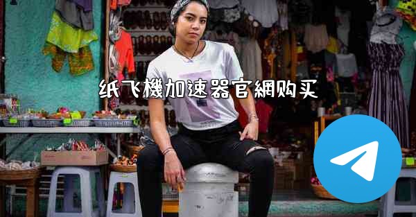 纸飞機加速器官網购买