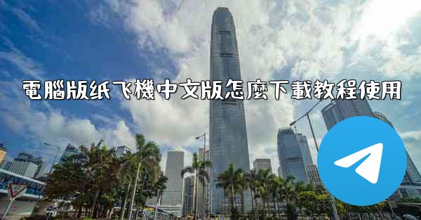 電腦版纸飞機中文版怎麼下載教程使用
