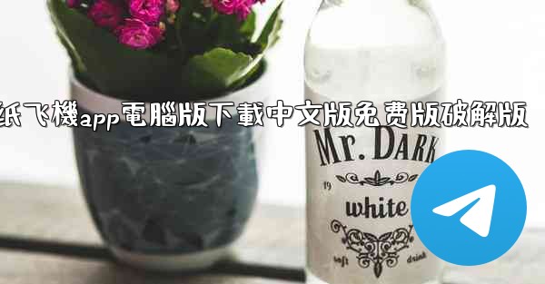 纸飞機app電腦版下載中文版免费版破解版