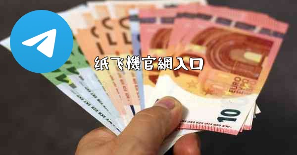 纸飞機官網入口