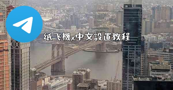 纸飞機x中文設置教程