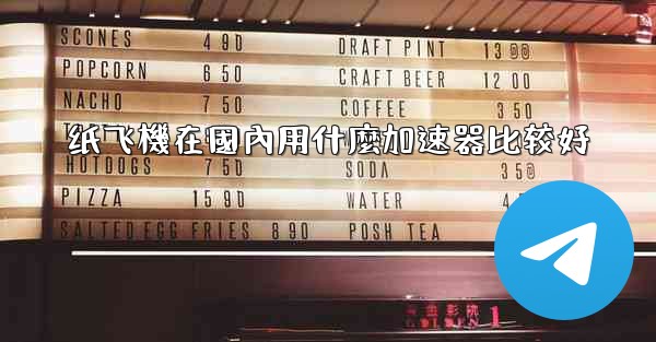 纸飞機在國內用什麼加速器比较好