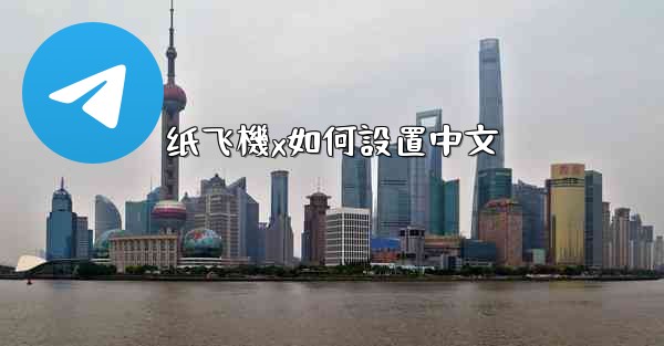 纸飞機x如何設置中文