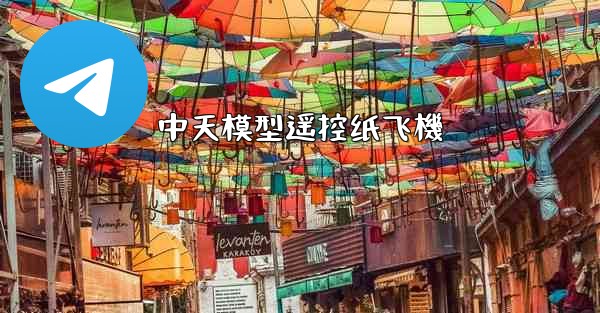 中天模型遥控纸飞機