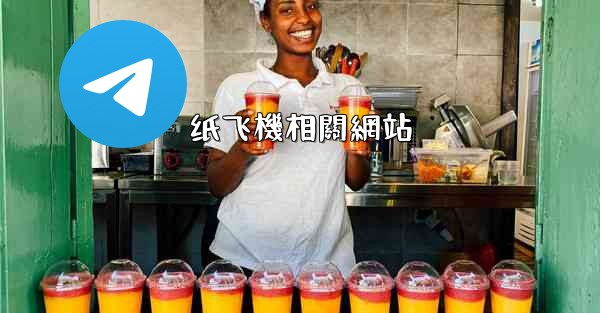 纸飞機相關網站