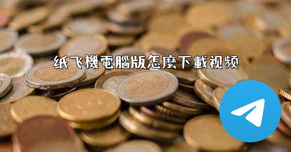 纸飞機電腦版怎麼下載视频