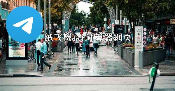 纸飞機dnf计算器網页
