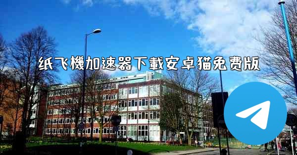 纸飞機加速器下載安卓猫免费版