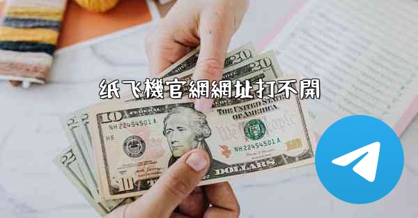 纸飞機官網網址打不開