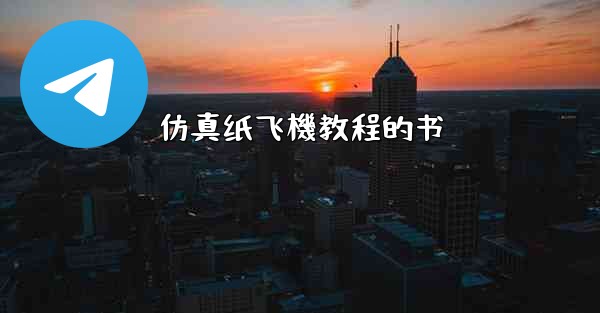 仿真纸飞機教程的书