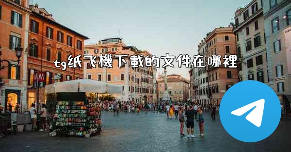 tg纸飞機下載的文件在哪裡