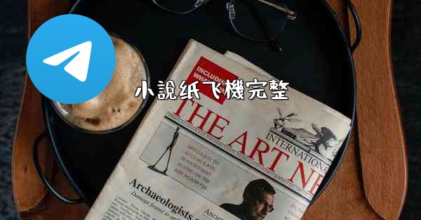 小說纸飞機完整