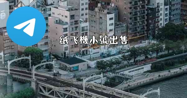 纸飞機小號出售