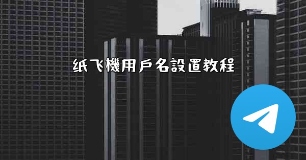纸飞機用戶名設置教程