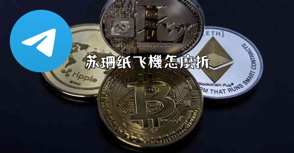 苏珊纸飞機怎麼折