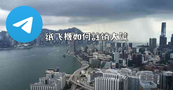 纸飞機如何註销大號