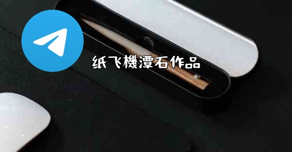 纸飞機潭石作品