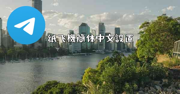 纸飞機簡体中文設置
