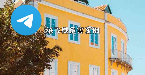 纸飞機危害案例