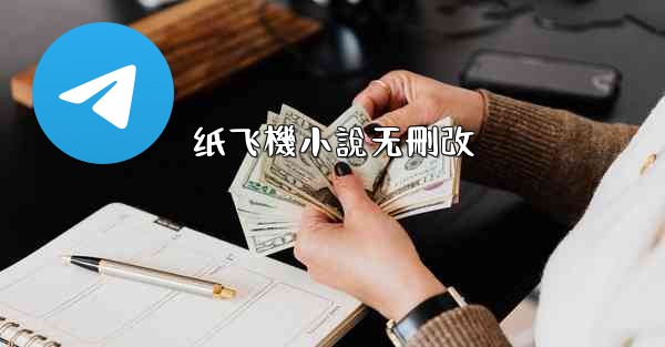纸飞機小說无刪改