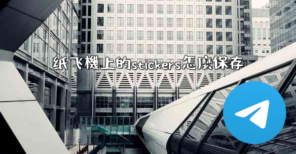 纸飞機上的stickers怎麼保存