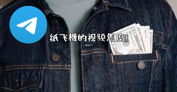 纸飞機的视频怎麼叠