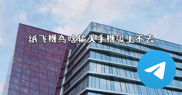纸飞機為啥输入手機號上不去