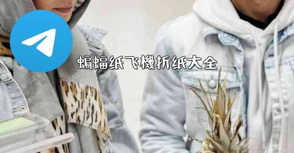 蝙蝠纸飞機折纸大全