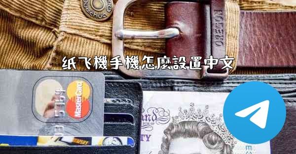 纸飞機手機怎麼設置中文