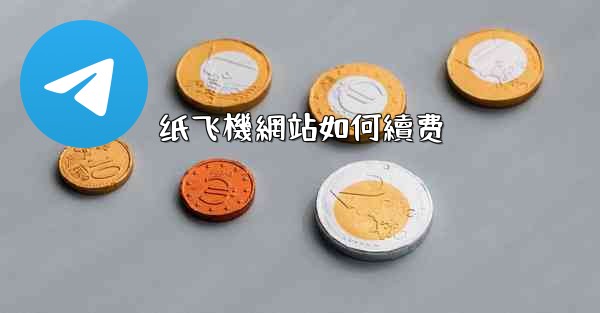 纸飞機網站如何續费