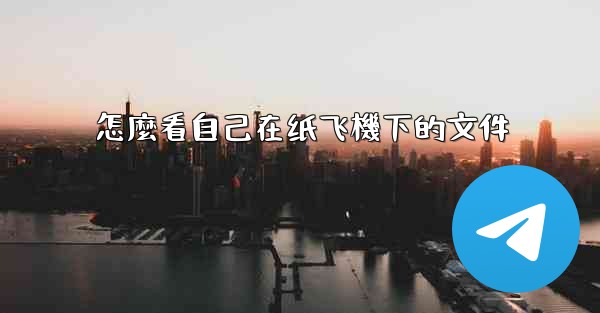 怎麼看自己在纸飞機下的文件