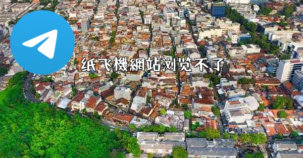 纸飞機網站浏览不了