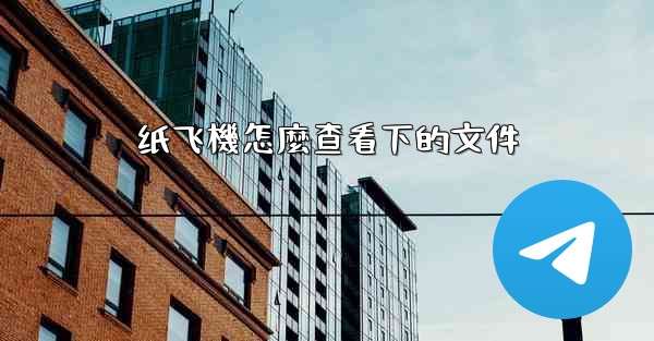 纸飞機怎麼查看下的文件