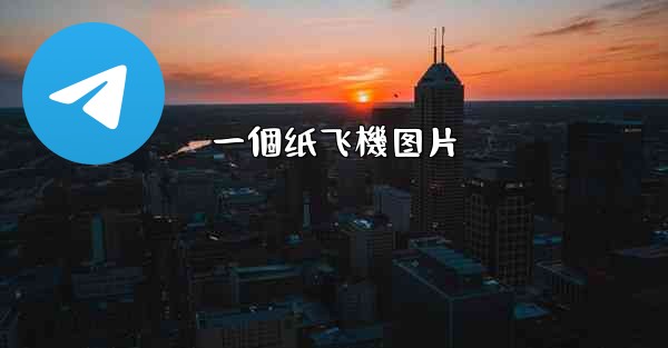 一個纸飞機图片