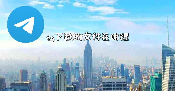 tg下載的文件在哪裡