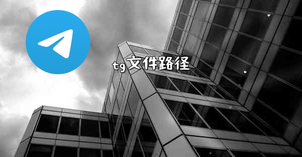 tg文件路径