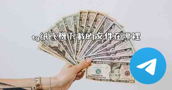 tg纸飞機下載的文件在哪裡