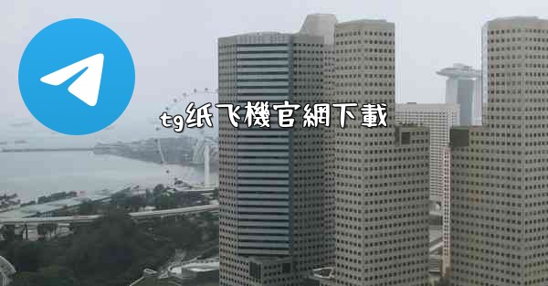 tg纸飞機官網下載