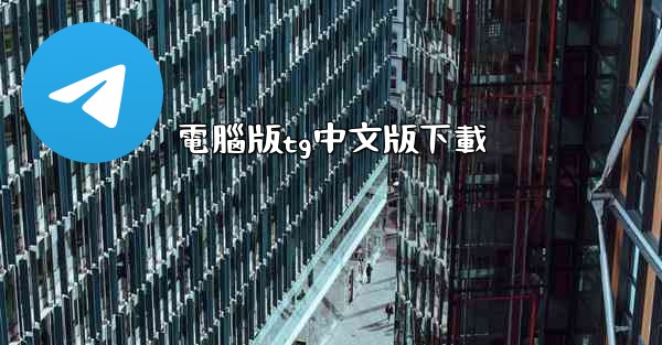 電腦版tg中文版下載