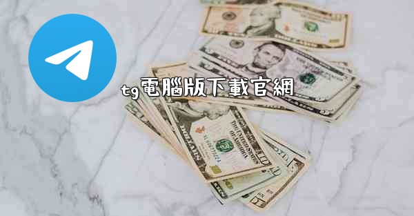 tg電腦版下載官網